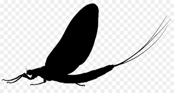 Insect Clip art Pollinator Silhouette Pest -  