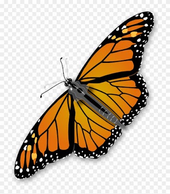Insect Clipart Free Images 2 Image - Titli Png