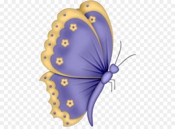 Insect, Drawing, Cartoon, Butterfly PNG