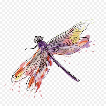 Insect Euclidean vector Dragonfly - Vector ink dragonfly 