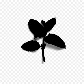 Insect Font Line Silhouette Leaf -  