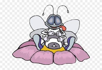 Insect Food, Honey, Happy, Flower, Bee, Full, Stuffed, - Stuffed Full Of Food
