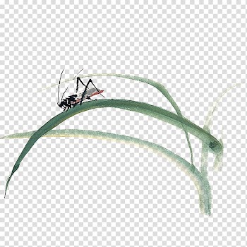 Insect Ink wash painting Butterfly Watercolor painting, Decorative pattern,insect transparent background PNG clipart