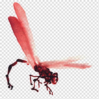 Insect Ink wash painting Watercolor painting, Decorative pattern,insect transparent background PNG clipart