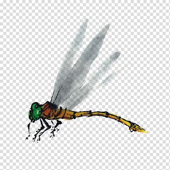 Insect Ink wash painting Watercolor painting, Decorative pattern,insect transparent background PNG clipart