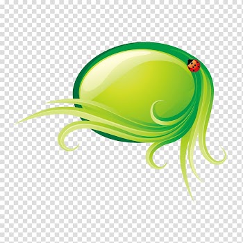 Insect Ladybird Leaf, Leaves and insects transparent background PNG clipart