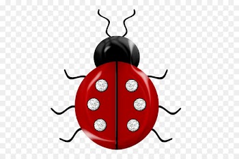Insect Ladybird Red Easter egg Bee Clip art - Red beetle 