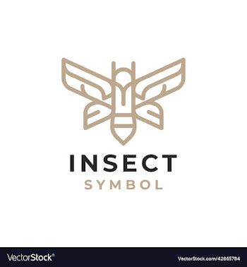 insect line art icon symbol logo