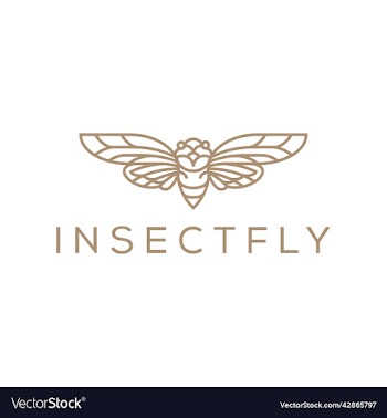 insect line art icon symbol logo