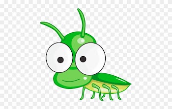 Insect Mosquito Cuteness Cricket - Insect