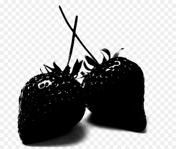 Insect Product design Fruit -  