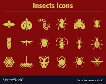 Insects collection vector image