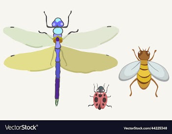 insects on light backgound