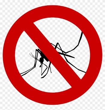 Insektenschutz Selber Machen - Defend Natural And Deet Free Waterproof Insect