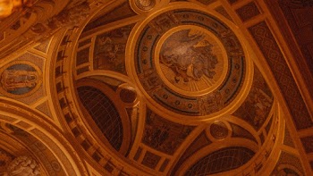 Inside Cathedral Ceiling View