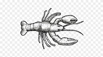 Inside Edition Correspondent Lisa Guerrero Wore A Fitted - Seafood Chalkbard Image Png