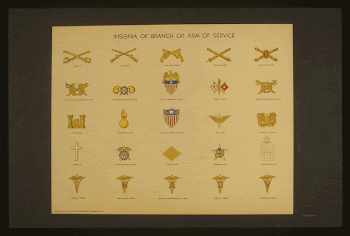 Insignia of branch or arm | Free Photo - rawpixel