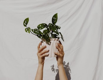 INSTA:@copper.spoon                                                           WEBSITE: https://www.copperspooncreative.com/