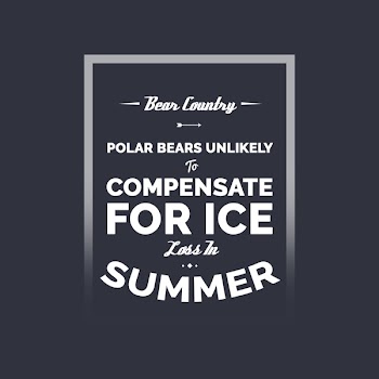 Instagram banner ads 42