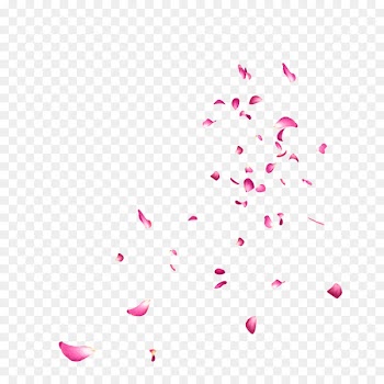 Instagram Photography Image editing PicsArt Photo Studio - floating 