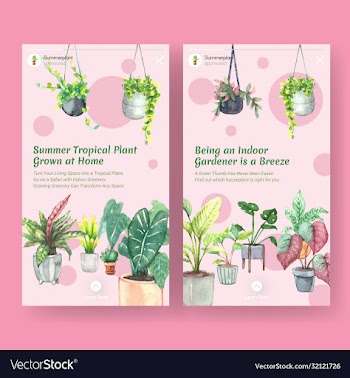 instagram template design with summer plant