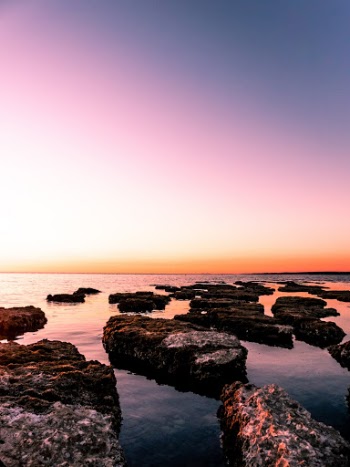 Instagram: www.instagram.com/davidboca/