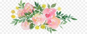Instagram YouTube Blog Social networking service Hashtag - Canh Chua 