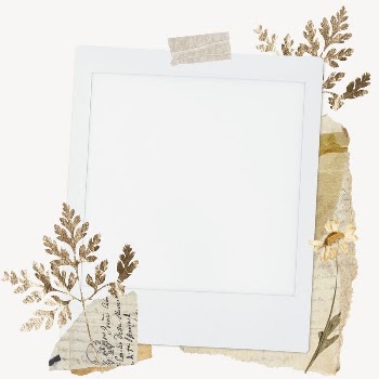 Instant film frame mockup, aesthetic | Free PSD Mockup - rawpixel
