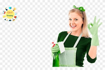 Integral Cleaning - Cleaning Girl Png