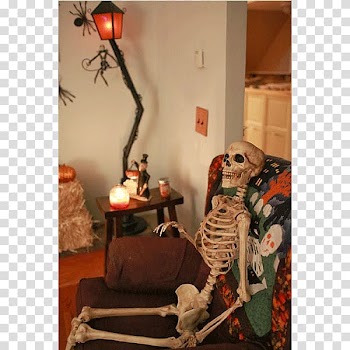 Interior Design Services Chair Crazy Bonez Pose-N-Stay Skeleton Halloween, design transparent background PNG clipart