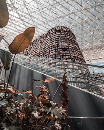 Interior Shot of a Library