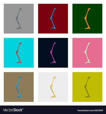 Internal human organs icons set in flat style leg vector image
