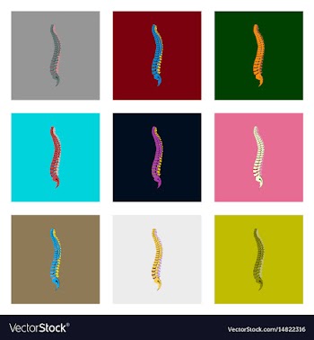 Internal human organs icons set in flat style vector image