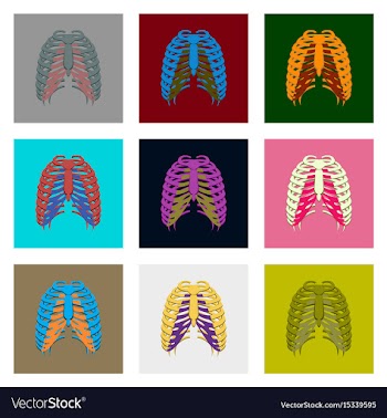Internal human organs icons set in flat style vector image