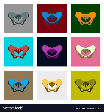 Internal human organs icons set in flat style vector image
