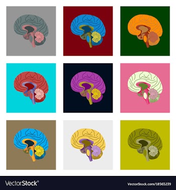 Internal human organs icons set in flat style vector image