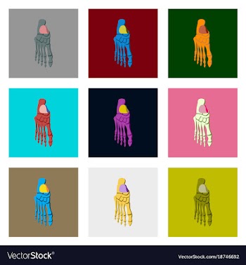 Internal human organs icons set in flat style vector image