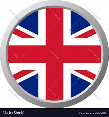 International flag icon vector image