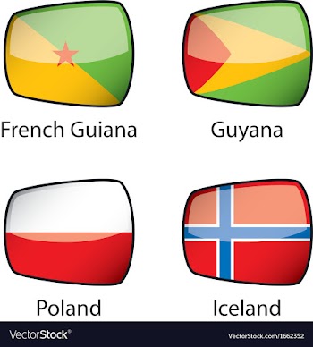 International Flags Sample vector image