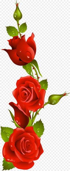 International Kissing Day Night Love - red rose 