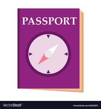 International passport template with sample vector image