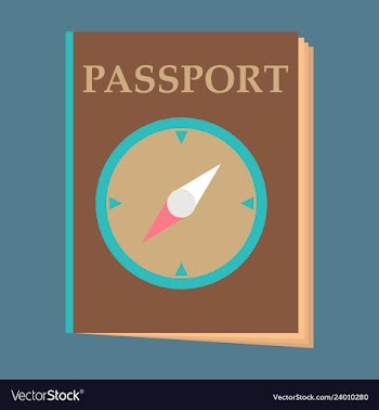 International passport template with sample vector image