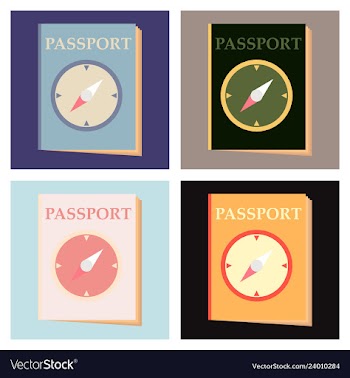 International passport template with sample vector image
