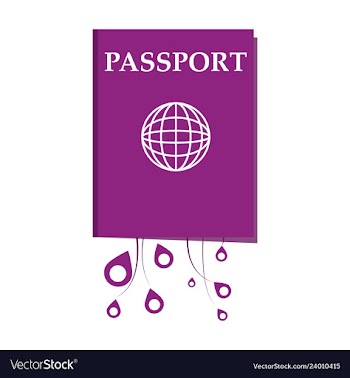 International passport template with sample vector image