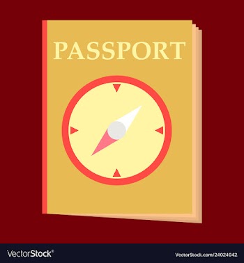 International passport template with sample vector image