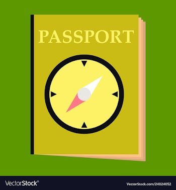 International passport template with sample vector image