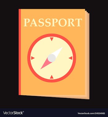 International passport template with sample vector image