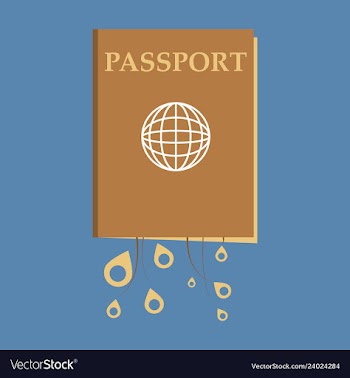 International passport template with sample vector image