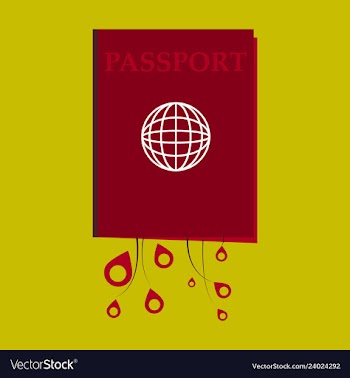 International passport template with sample vector image