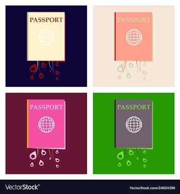 International passport template with sample vector image